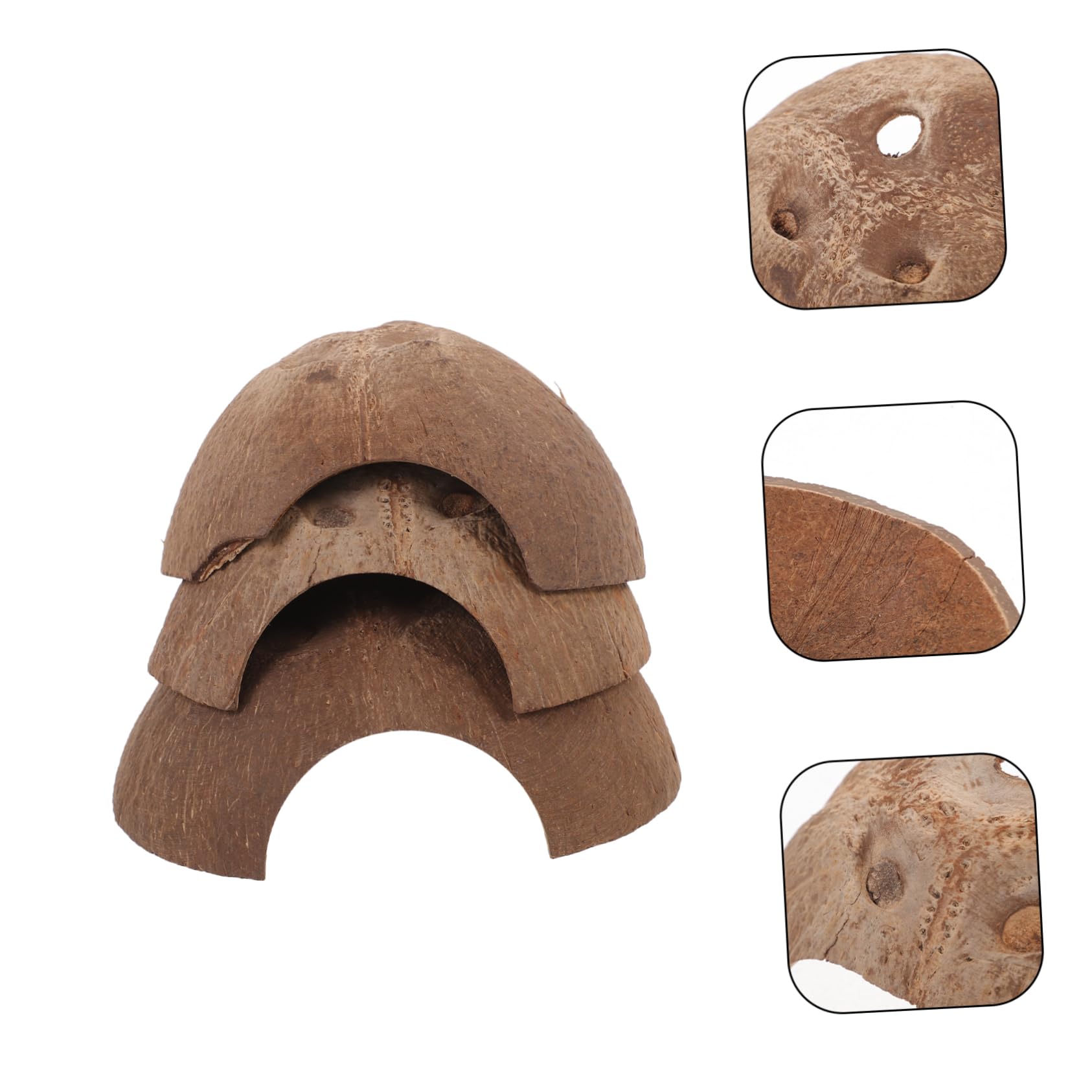 minkissy 15 Reptiles escondidos de Cuevas, decoración Decorativa de terrario, escondite de Reptiles, escondite de Reptiles, escondite de Lagarto, pequeños recipientes de Vidrio de Concha de, Caja