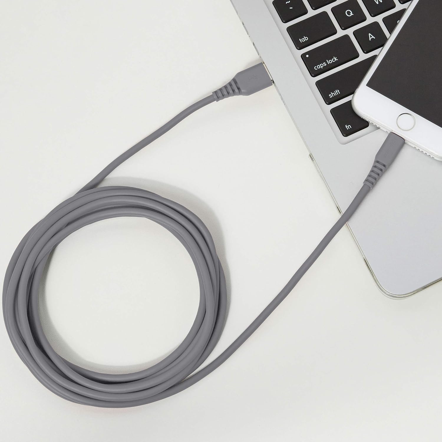 Amazon Basics MFi-Certified Lightning to USB A Cable for Apple iPhone and iPad - 10 Feet (3 Meters) - Gray