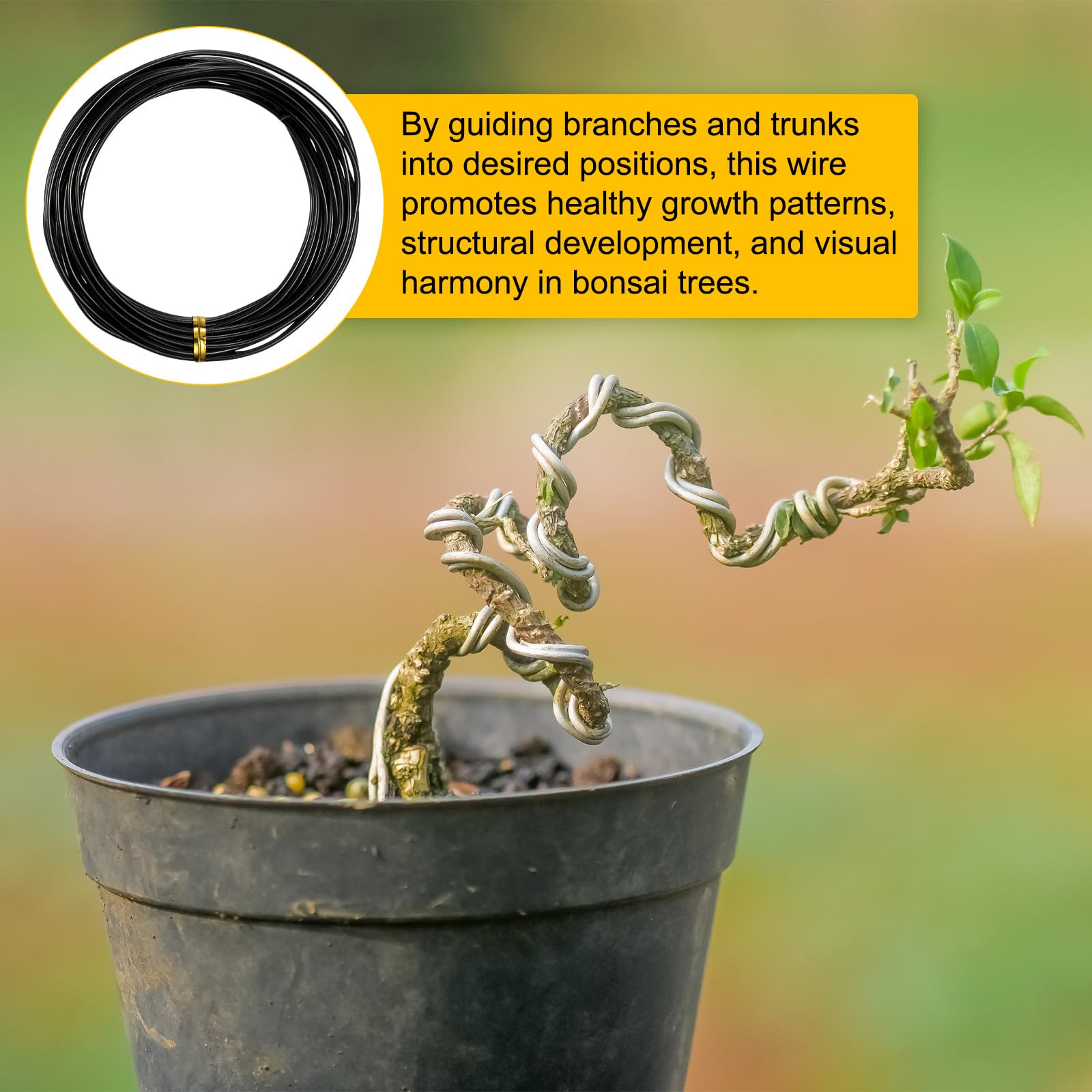 M METERXITY 2-Rotoli Filo Allenamento Bonsai 2mm, 32,8Ft Totali Filo Alluminio Anodizzato Bonsai per Forma Alberi Bonsai/Fissaggio Rami/Trattenimento Tronco/Artigianato[16,4Ft Ciascuno, Nero]