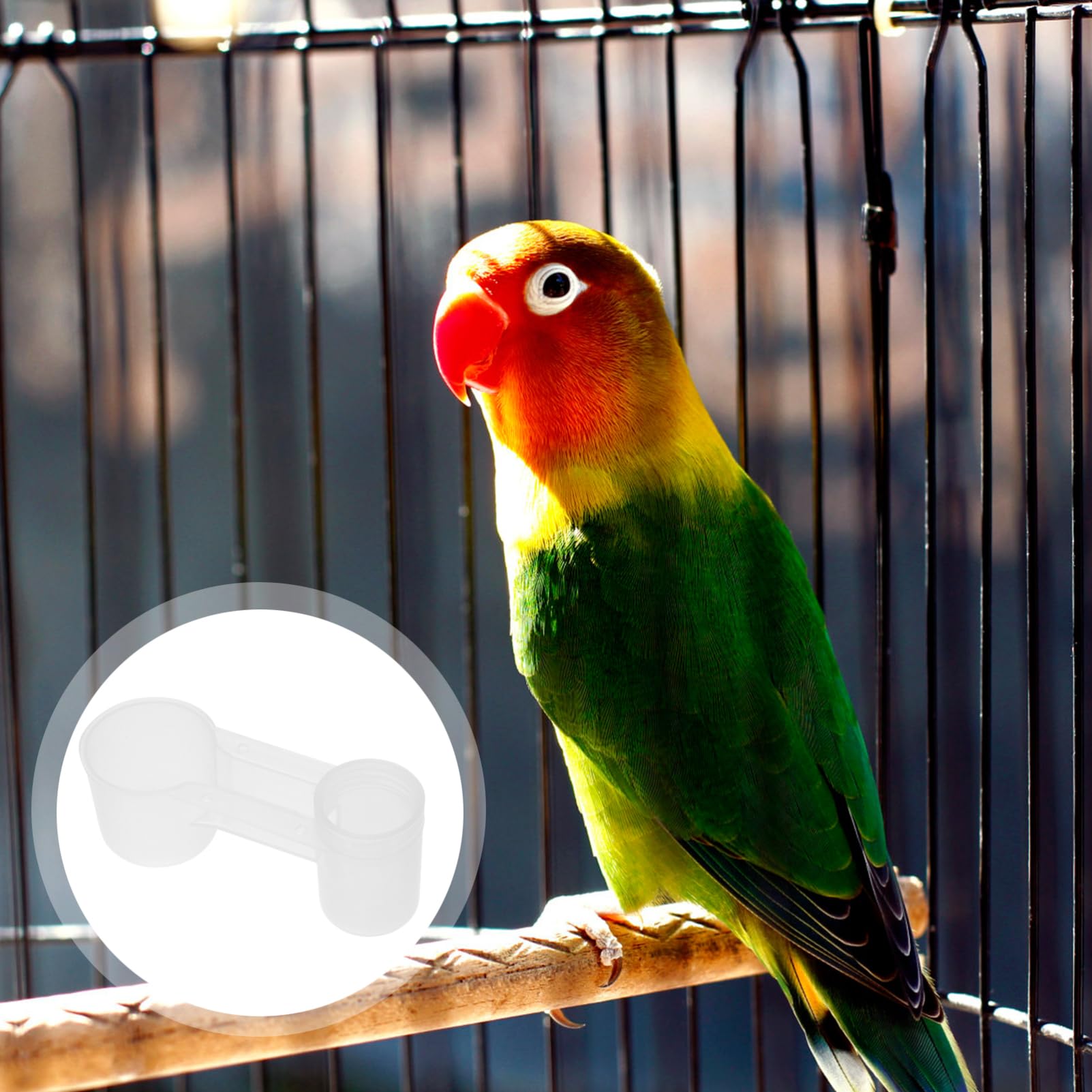 Bevitore Automatico per Uccelli Doppia Uscita in Plastica Bianca, Resistente e Non Facile da Rompere, per Uso Domestico in Zoo