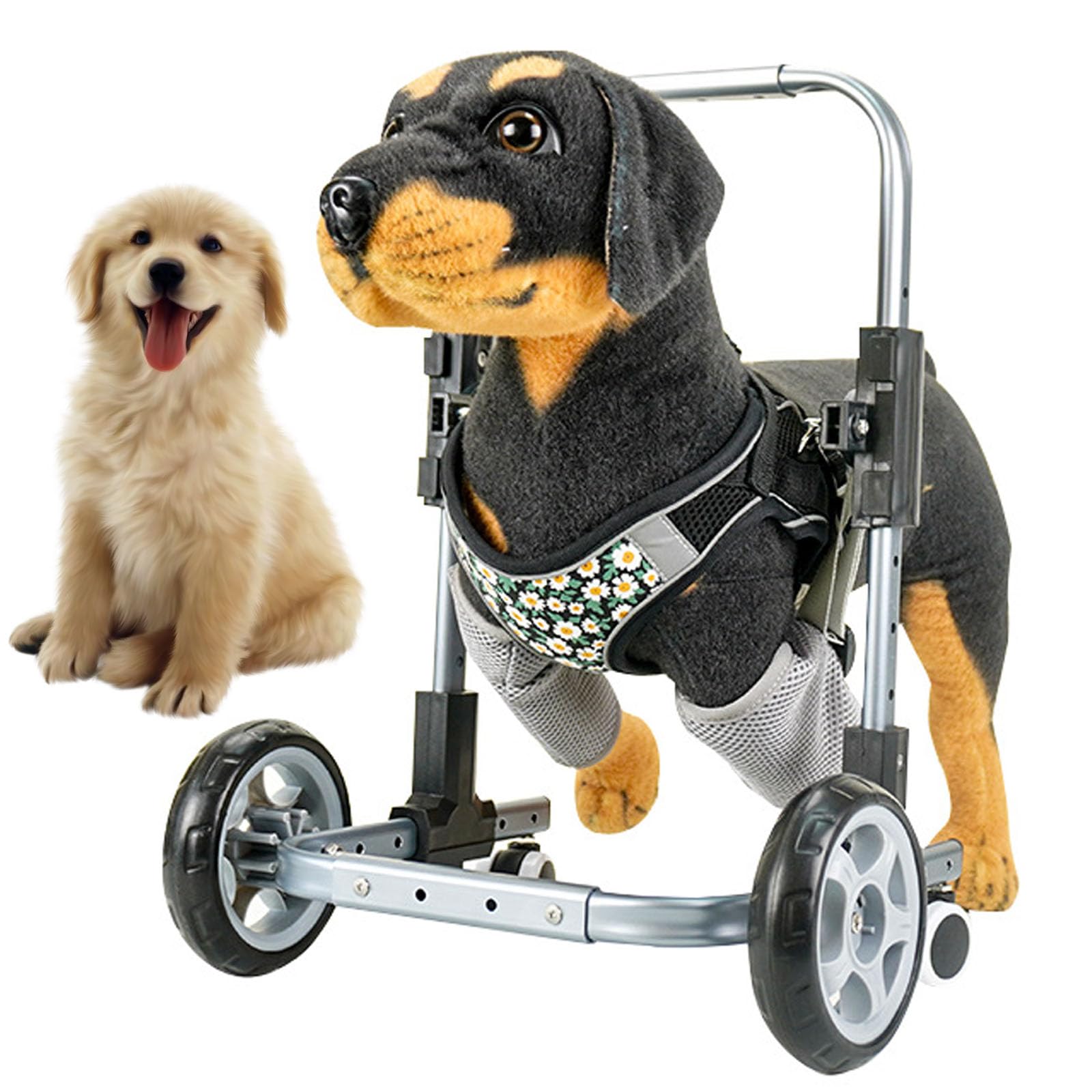 Pet Care Dog Wheelchair, 4 Wheels Dog Wheelchair Walker, Full Support Doggy Mobility Support Aid For Front Legs, Assisted Walking Pet Stroller For Disabled Pets S:max22cm