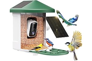 Birdie Cam: The Smart Bird Feeder with Built-In Camera, AI Bird Identification, and Live View