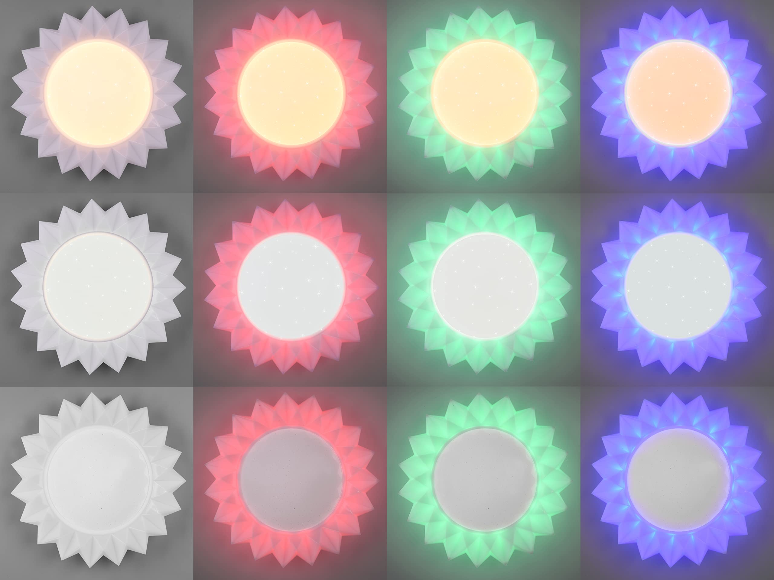 Reality, Lámpara de techo, Girasol incl. 1xLED
