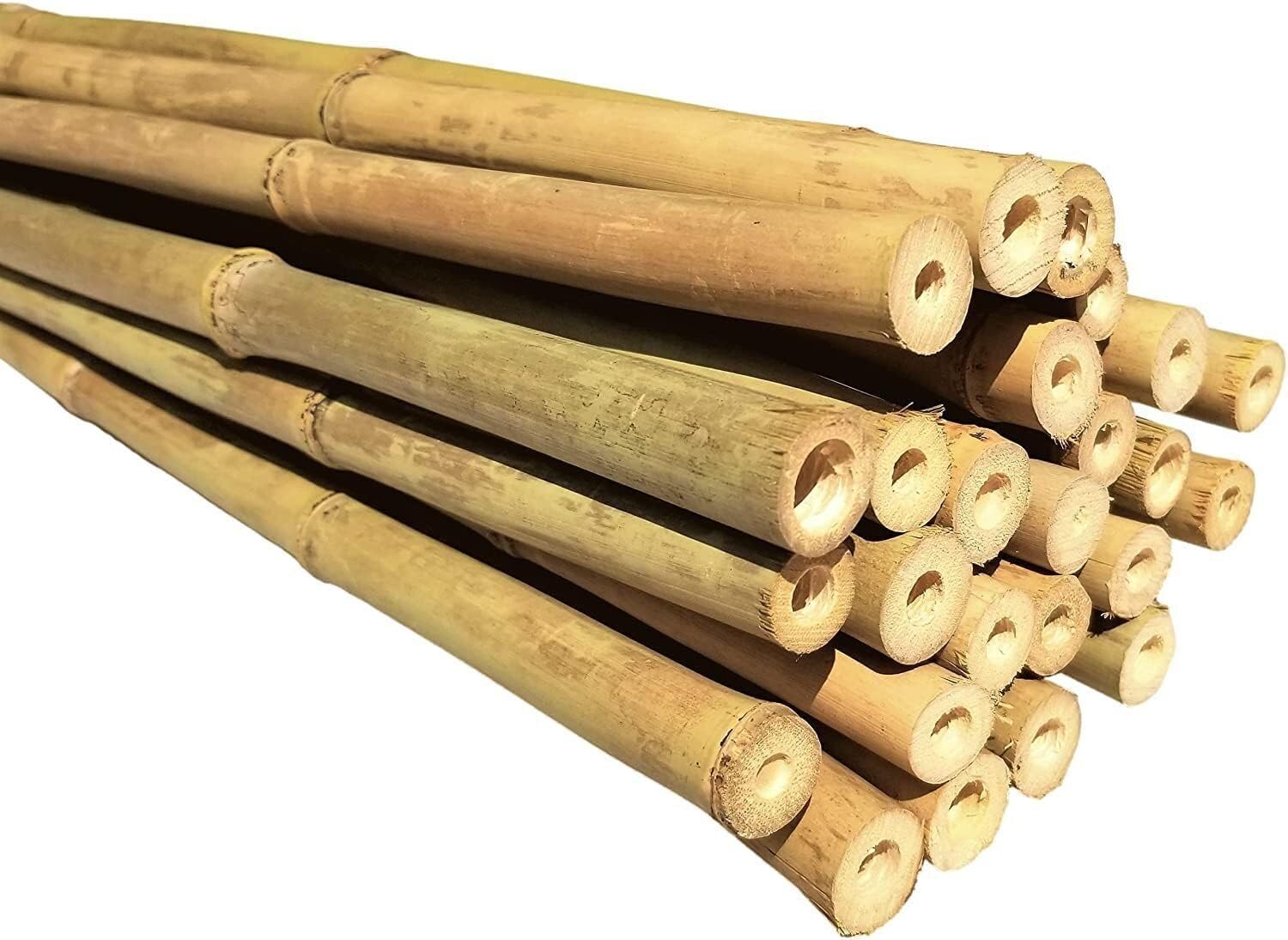 Bamboo Canes - Plant Supports for Outdoor Plants – Heavy Duty Professional Bamboo Sticks for Plants Growth, All Lengths 2,3,4,5, 6ft Garden Canes, Garden Plant Supports (20, 5ft, 12-14mm)