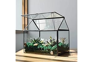 Large Glass Plant Terrarium - House Succulent Glass Terrarium Kit with Lip...