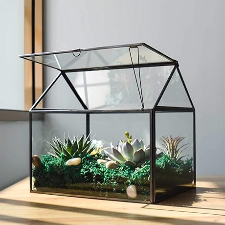 Large Glass Plant Terrarium - House Succulent Glass Terrarium Kit with Lip...