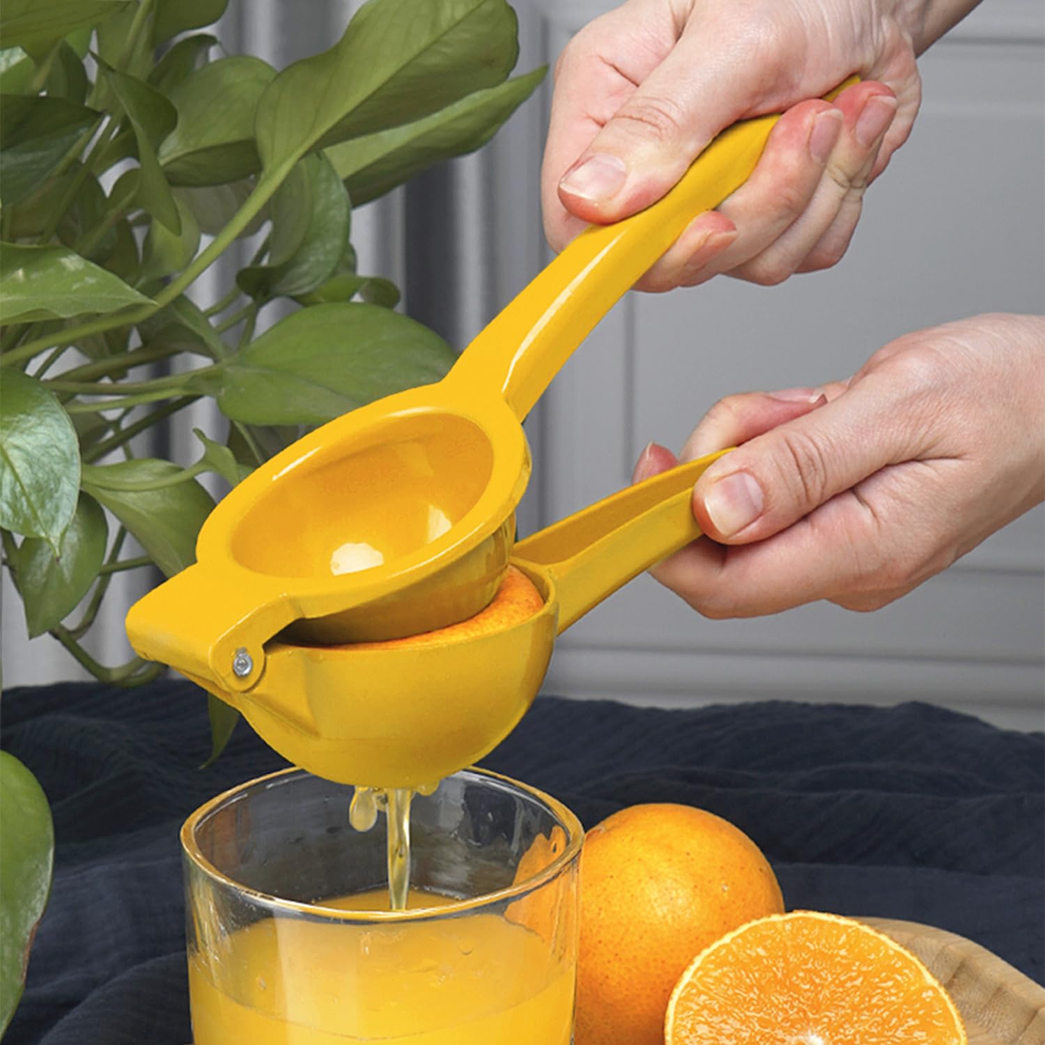 Presse-citron Manuel Mini - 4 Pièces, Compact, Avec Filtre Et Compartiment De Rangement, Pour Agrumes - 5