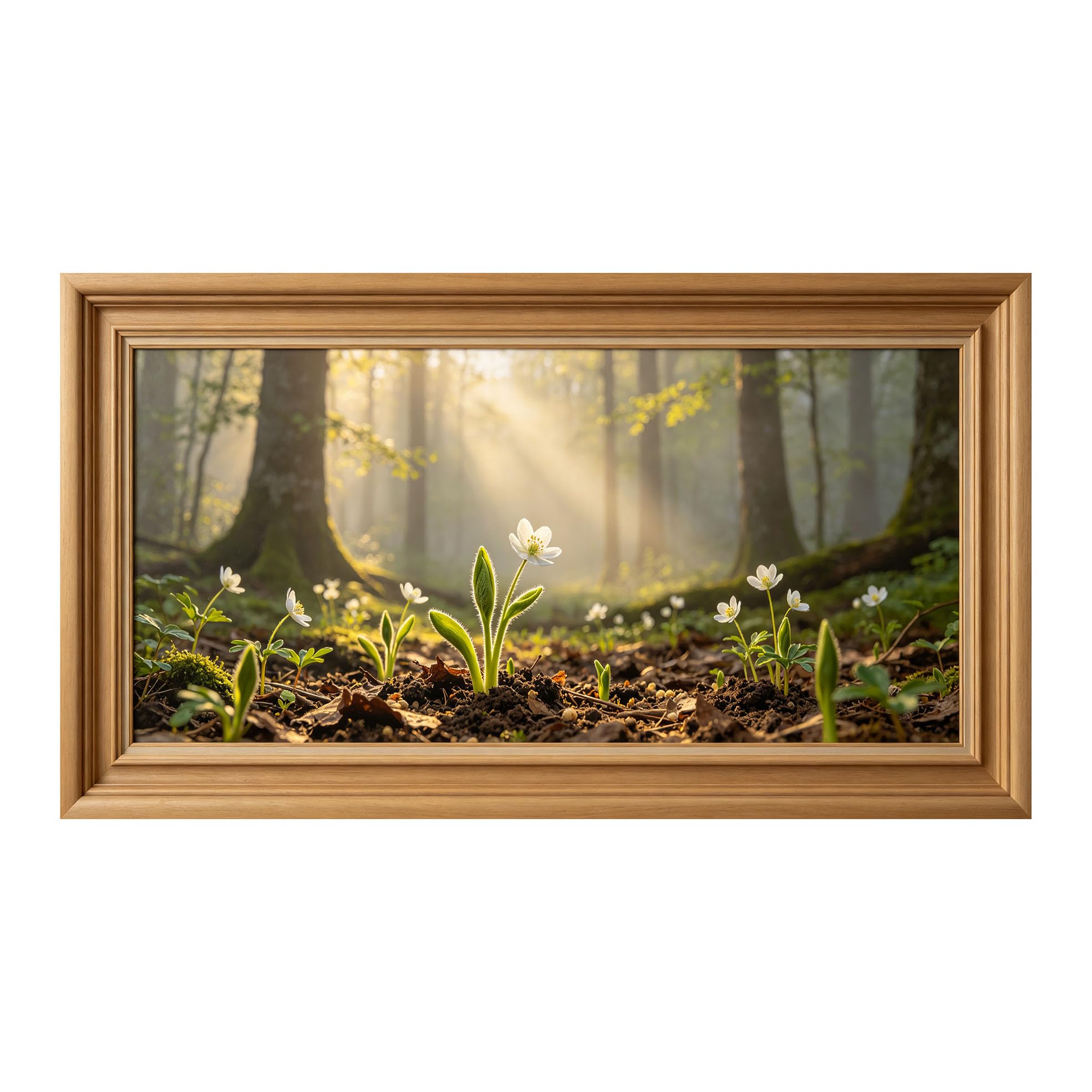 Yzpallescene 3D Framed Wall Art 50cm×100cm Botanical Woodland Flower Sunlight Realistic Large Size SelfAdhesive Removable Wall Decor Prints Artwork for Living Room Bedroom Office
