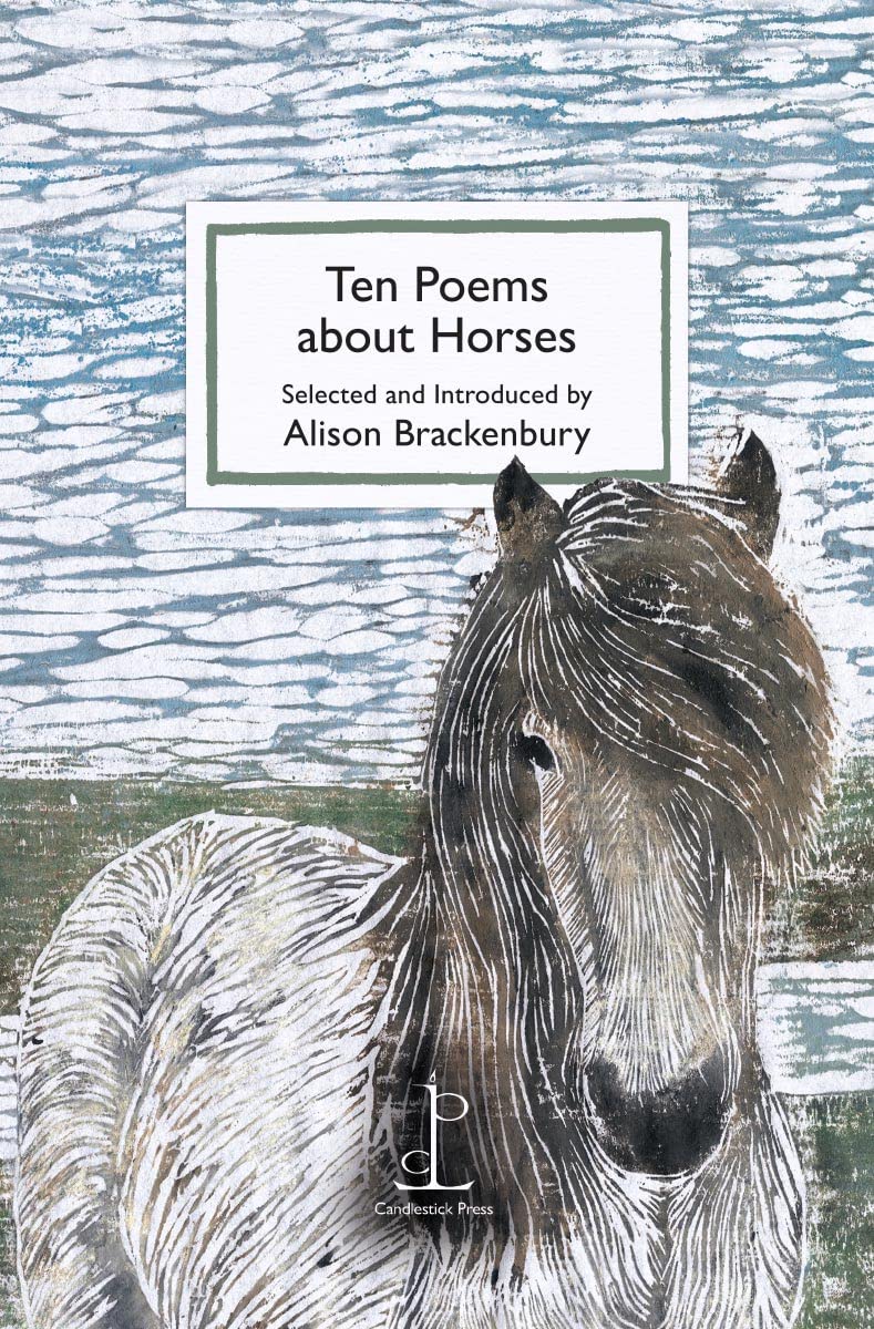 Ten Poems about Horses by Alison Brackenbury PAPERBACK 9781907598791