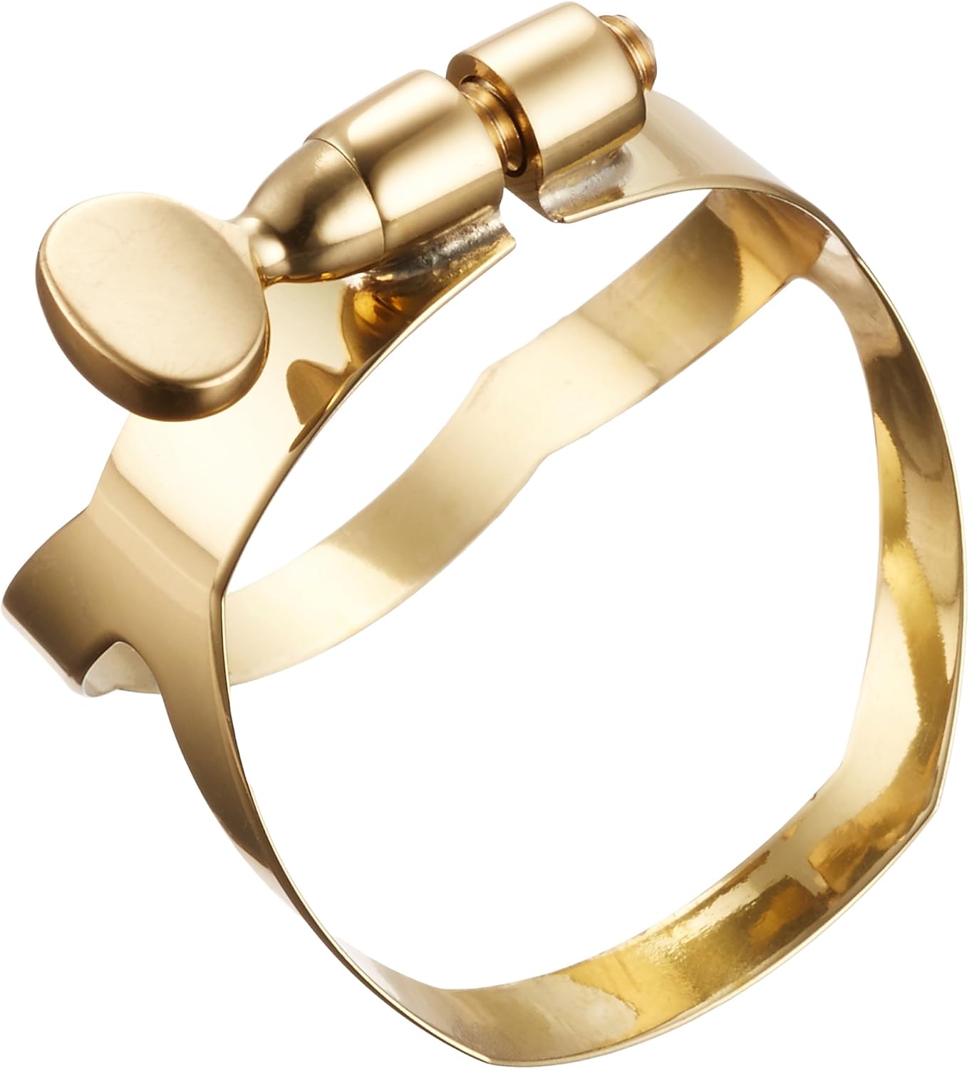 Selmer Paris Selmer Baritone Bath Saxophone Ligature Lacquer Finish