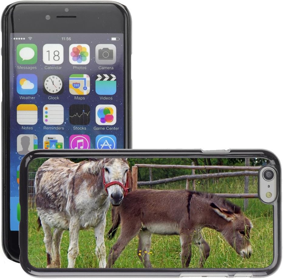 Super Stellar Slim PC Hard Case Cover Skin Armor Shell Protection // M00126862 Donkey Donkey Foal Foal Mother Child // Apple iPhone 6 PLUS 5.5"