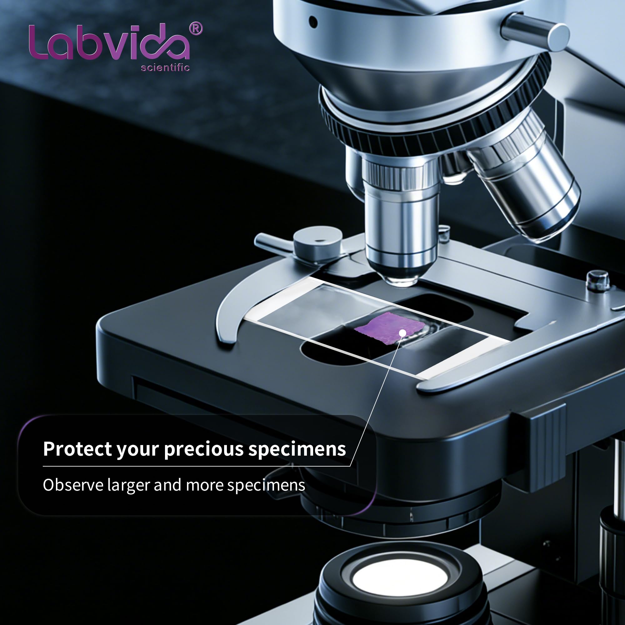 100 vetrini grandi per microscopio, vetrini in vetro smerigliato per microscopio, dimensioni 76 mm x 52 mm, per istologia da laboratorio e osservazione di campioni di grandi dimensioni, LVQ094