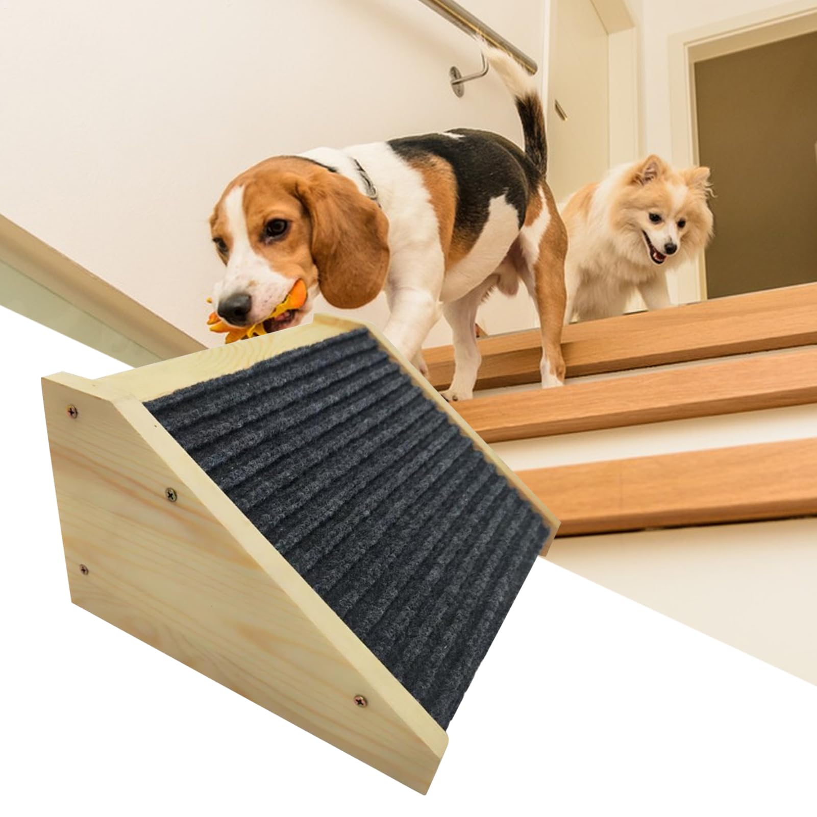 Rampa antiscivolo per cani, per animali domestici feriti e anziani, di sicurezza per gatti e cani per raggiungere luoghi alti, casa, divano, camera da , comodino