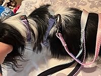 Review Image by SJ SJ