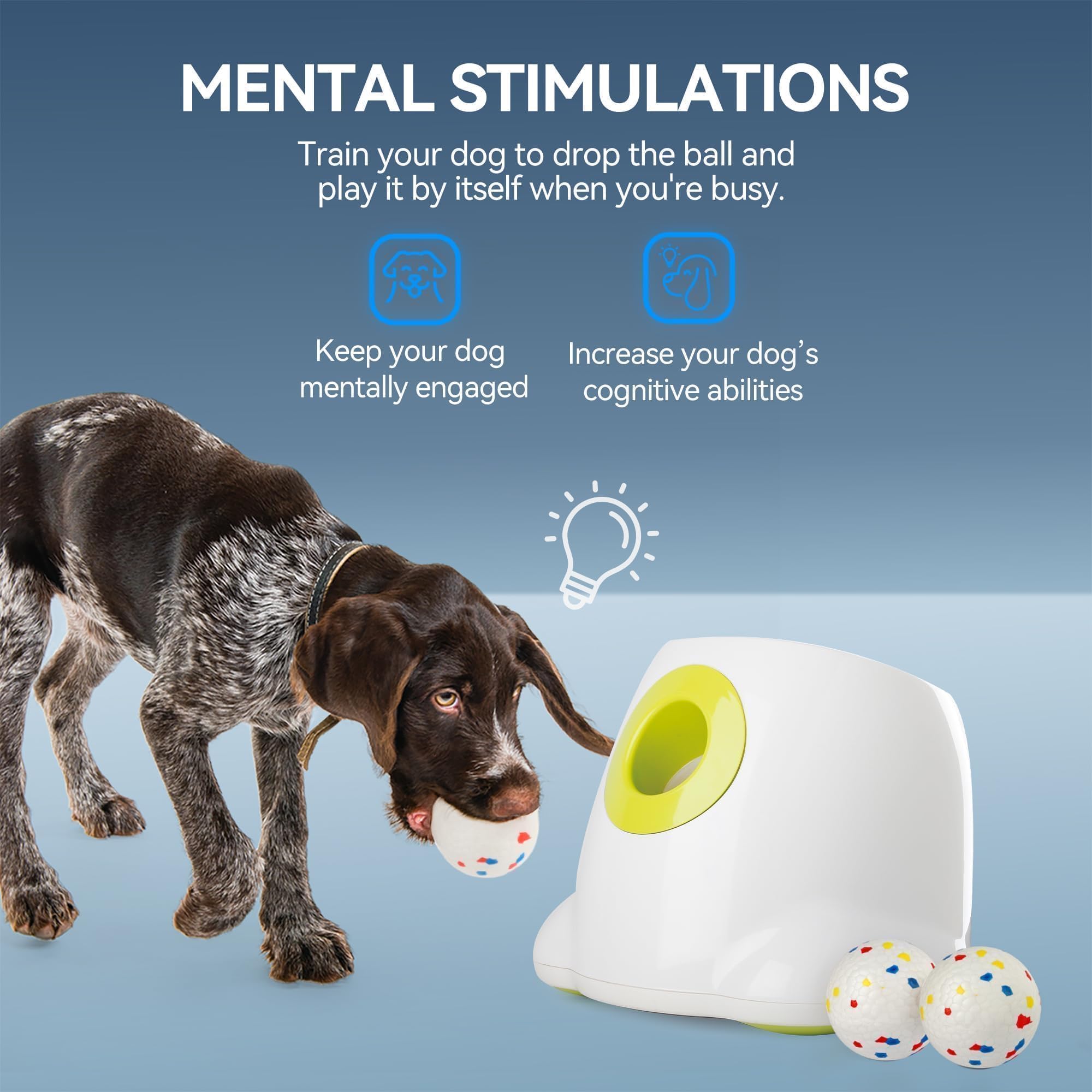 ALL FOR PAWS Lanzador automático de bolas para perros, lanzador interactivo de pelotas para mascotas, 6 bolas incluidas (2.5 pulgadas) para perros medianos a grandes, máquina de búsqueda