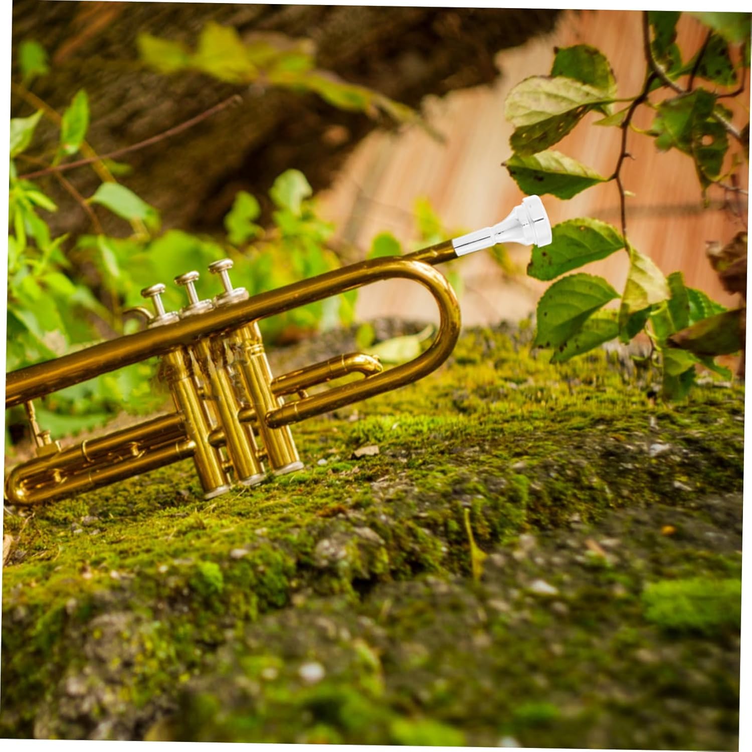 Toyvian Cornet Mouthpiece for Beginners Metal Replacement Accessory Produces Rich Sound and Comfortable Playing