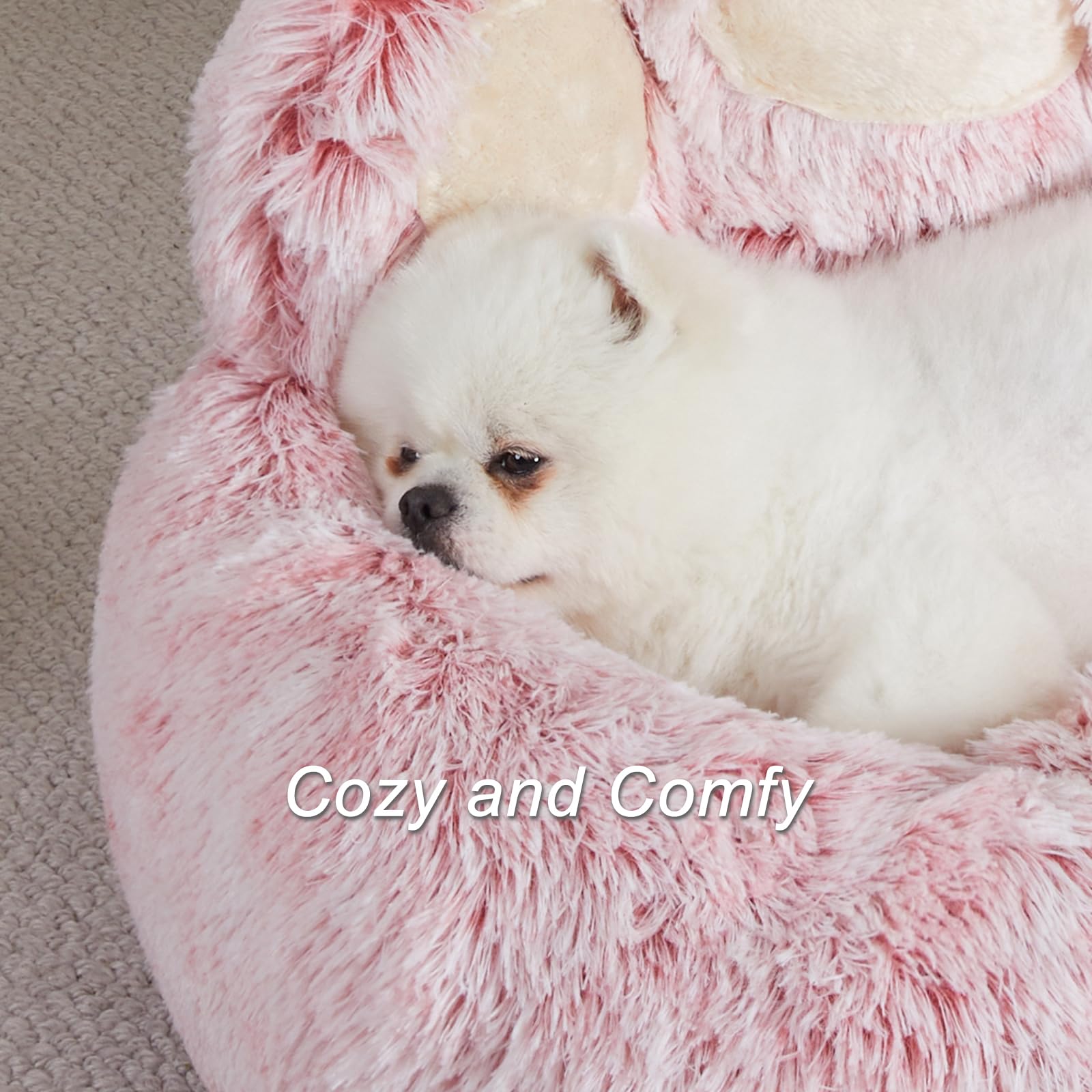 【新品】レッスンドッグ PUPPY 107-ST(ワケ有り品) 2台セット 楽天市場】グルーミングレッスンドッグ パピー107S