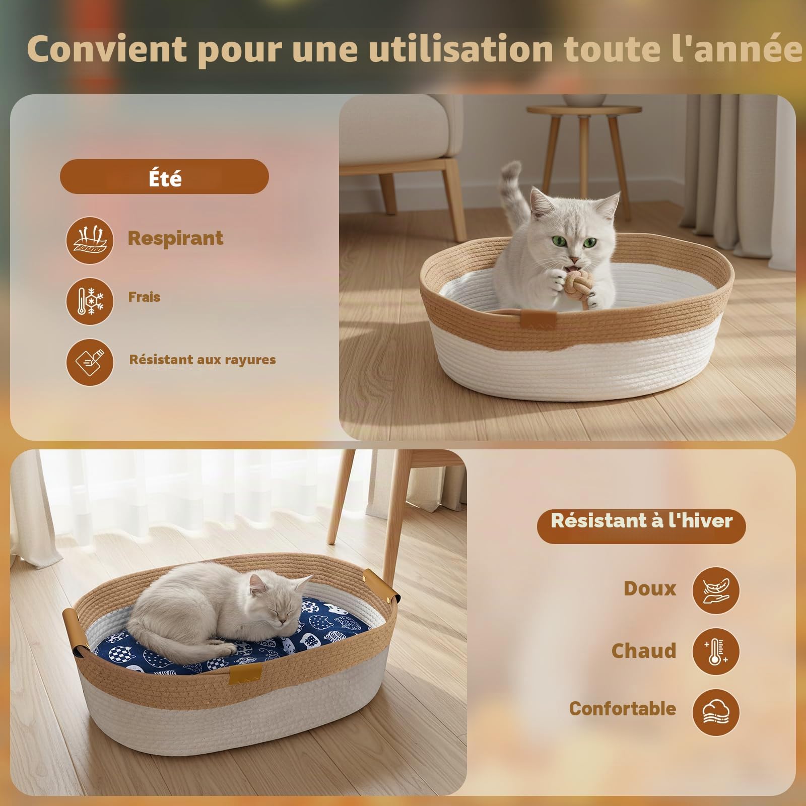 Mittimiya Lit pour Chat Tissé en Cordes de Coton avec Coussin, 55 X 40 X 17 cm Anti-Abrasif Lavable Panier pour Chat pour Dormir - Convient pour Toutes Les Saisons
