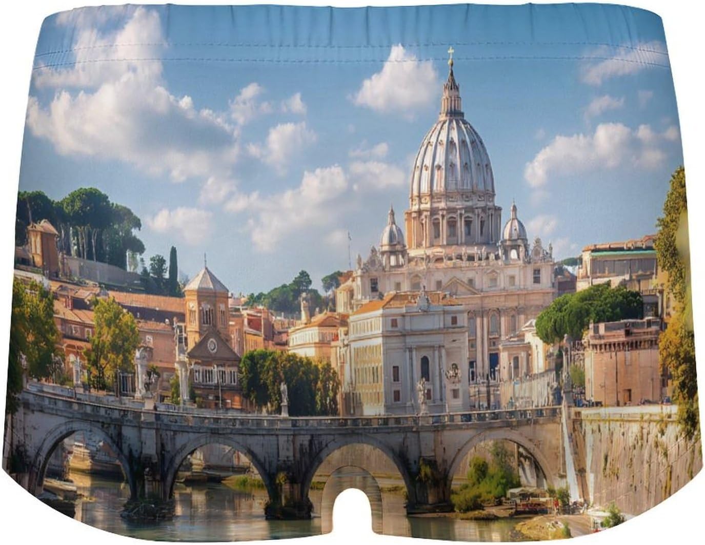 St Peters Basilica in Rome1 Italy Funny Women's Boxer Briefs Breathable Underpants Trunks Stretch Underwear