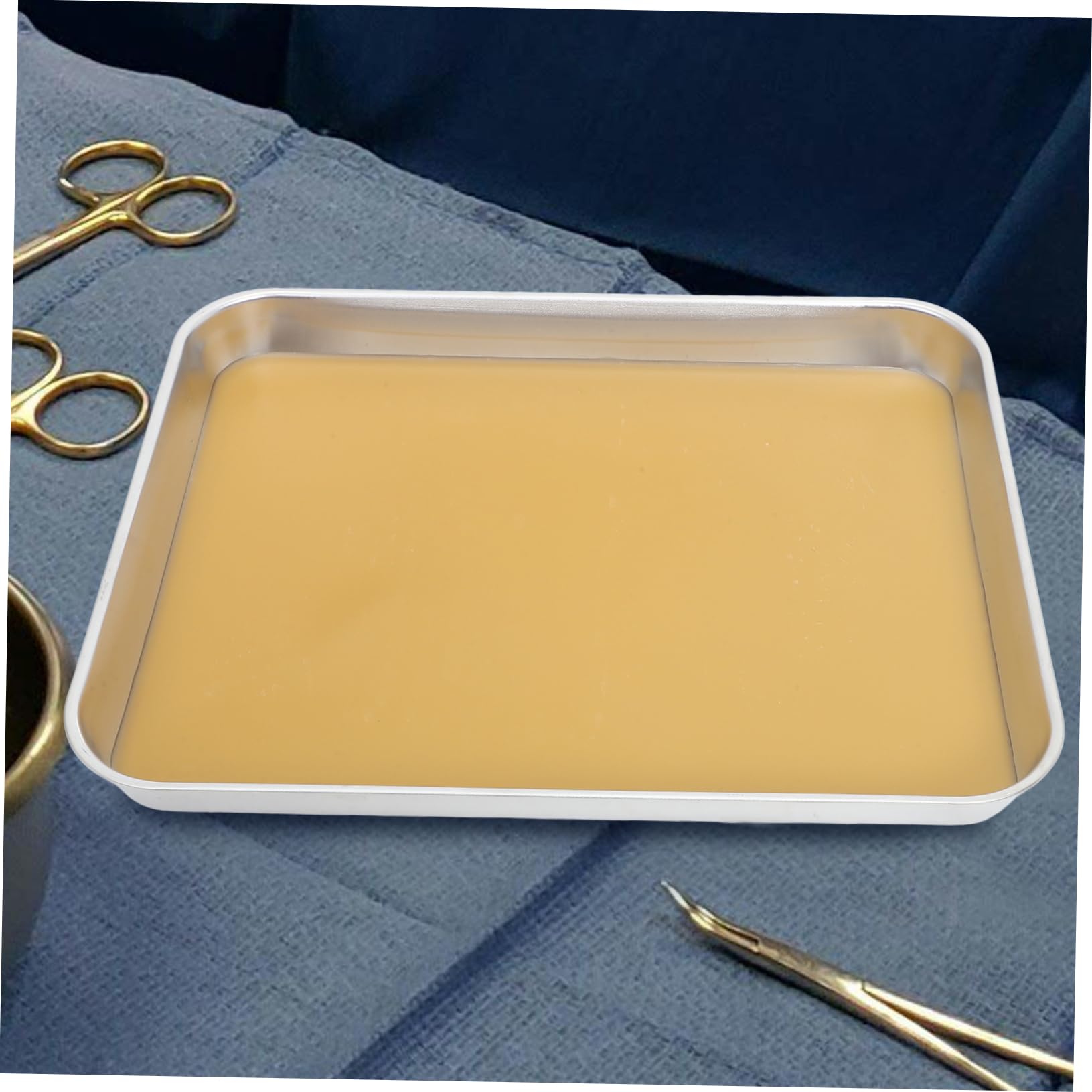 Cabilock Plateau De Dissection Métallique Pour Laboratoire Plateau Avec Cire Outil De Laboratoire De Dissection Métal