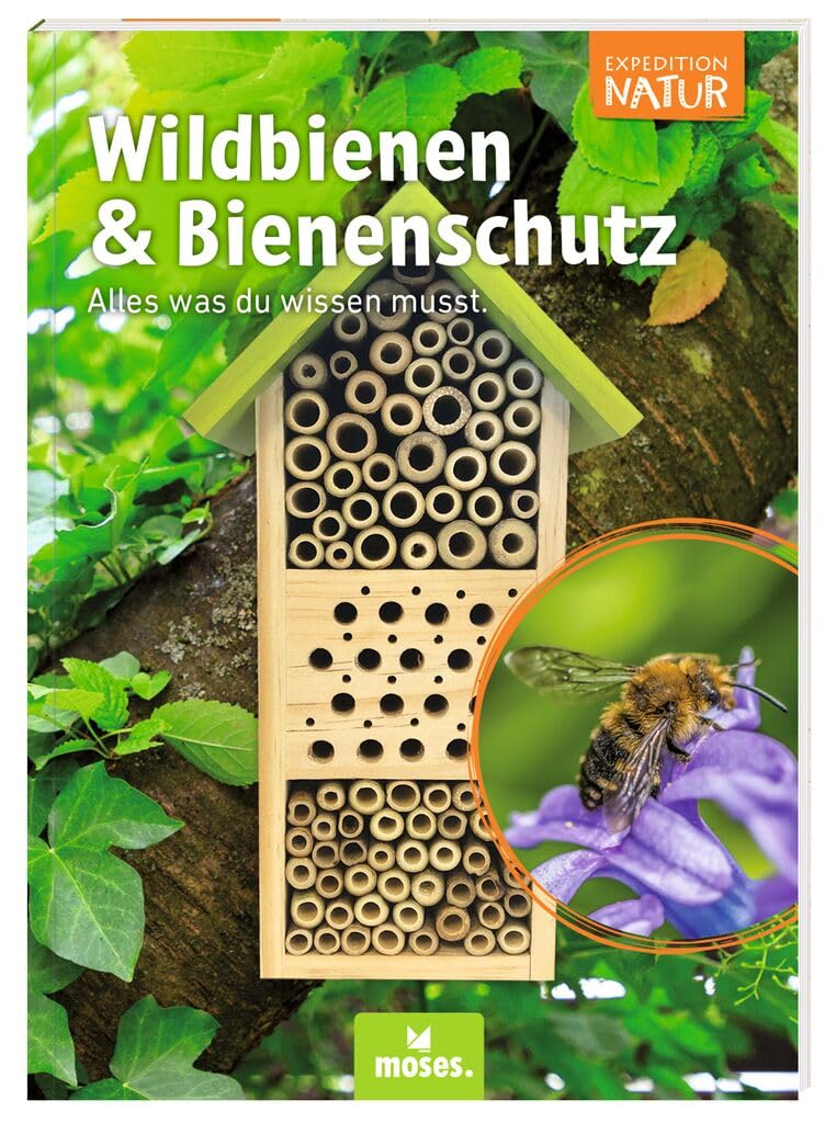 moses Bienenhotel Expedition Natura, Nido e svernamento per api Selvatiche, con emozionante Libretto per Bambini