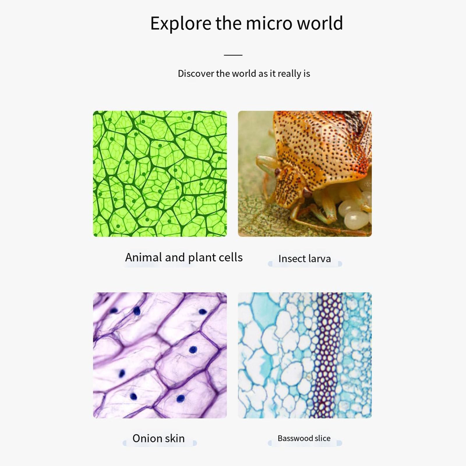 Microscopio de laboratorio de 1200 aumentos, fuente binocular, microscopio óptico estereoscópico ajustable, enseñanza de biología profesional
