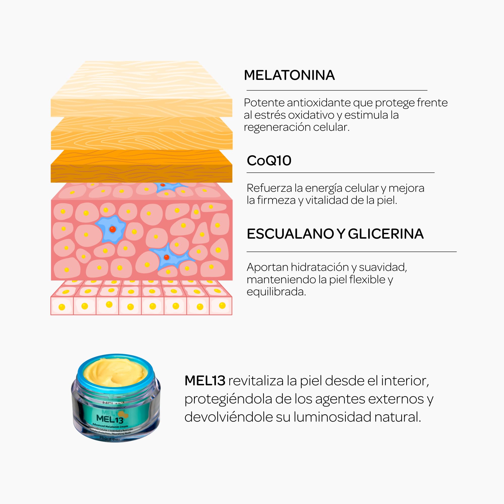 Crema Facial Mel13 Melatonina Coenzima Q10, 50 ml | Hidrata, Ilumina y Previene los Primeros Signos de la Edad Apta para Todo Tipo de Piel