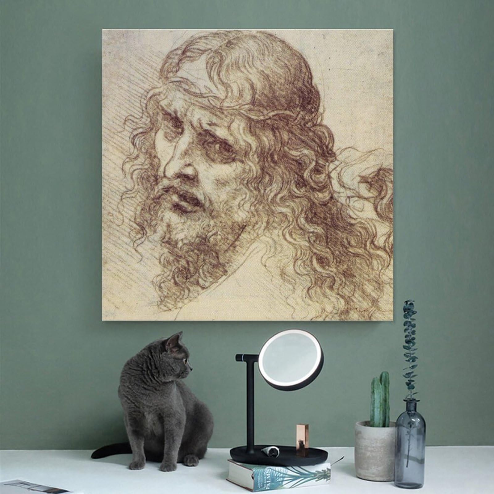 Amazon.co.jp: Leonardo Da Vinci レオナルド・ダ・ヴィンチ 髪