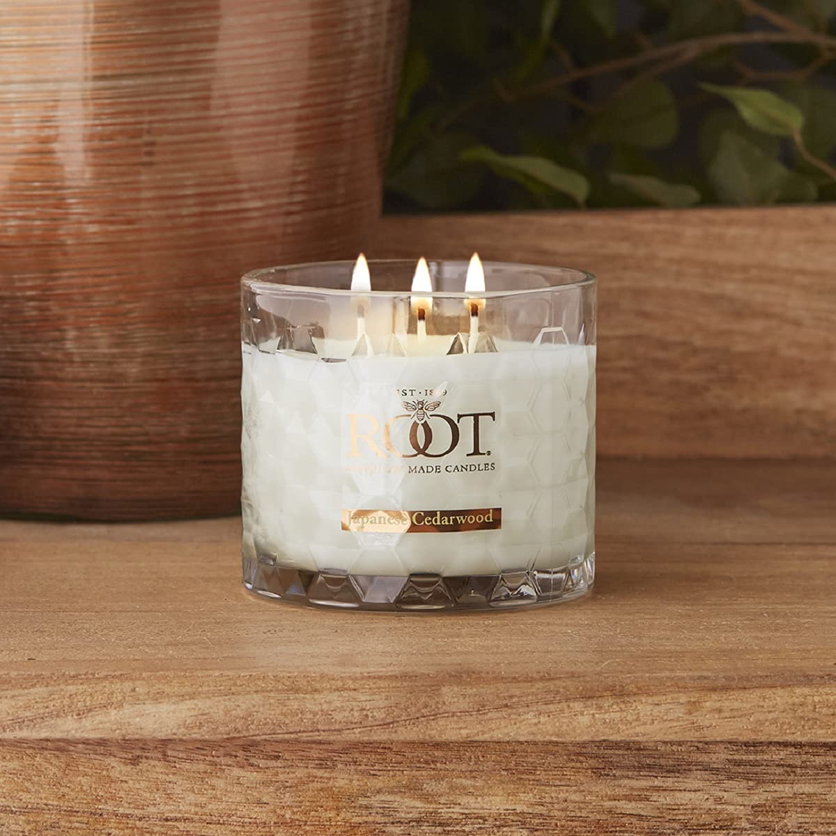 Root Candles Świeca zapachowa z mieszanki wosku pszczelego o strukturze plastra miodu, 1 EA, japońskie drewno cedrowe