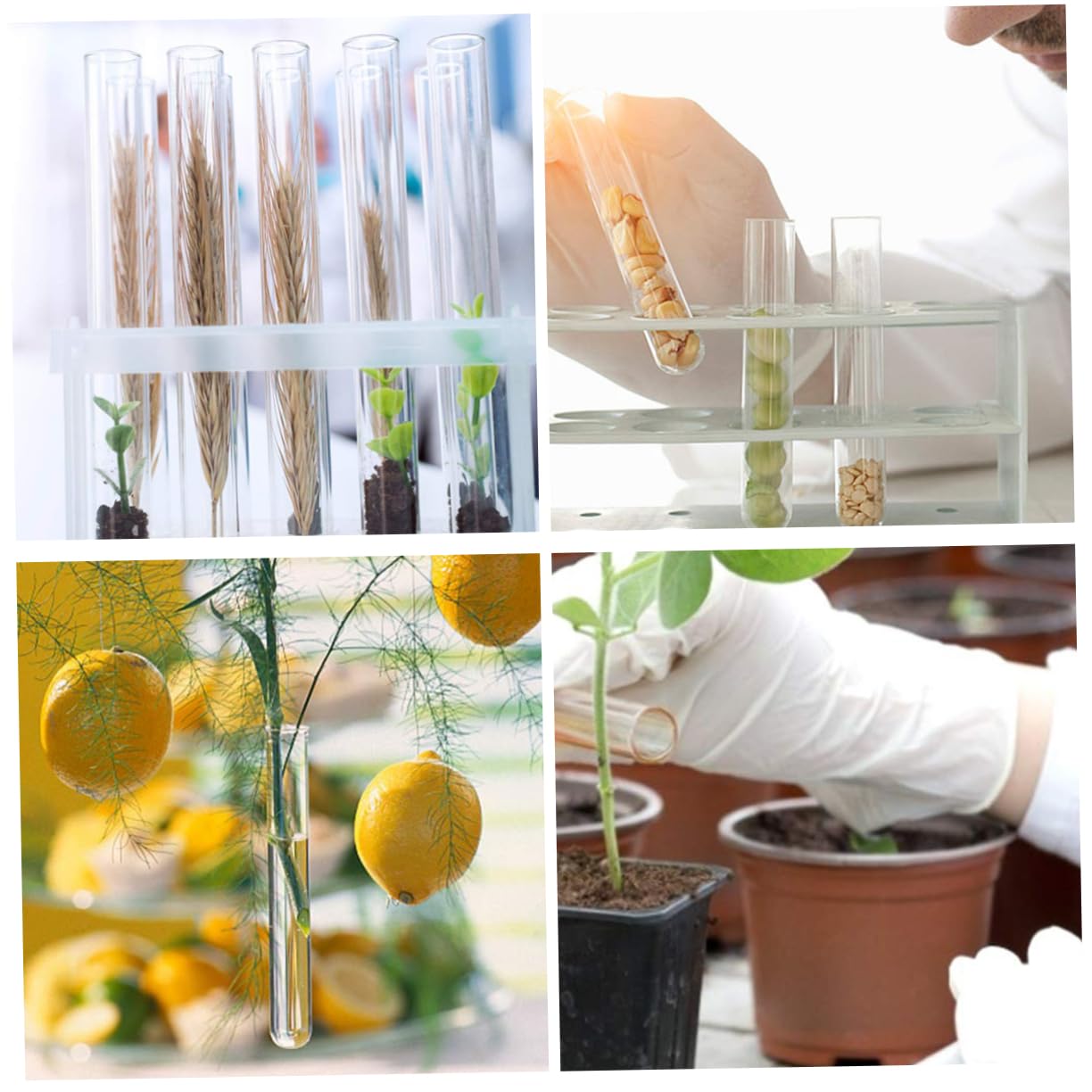 CHILDWEET 10pcs Glass Test Tube Mini Bottle Micro Test Tube Test Tubes Storage Craft Test Tube Scientific Experiments Container Racks Beakers and Test Tubes Propagation Tubes Clear Lab Tubes