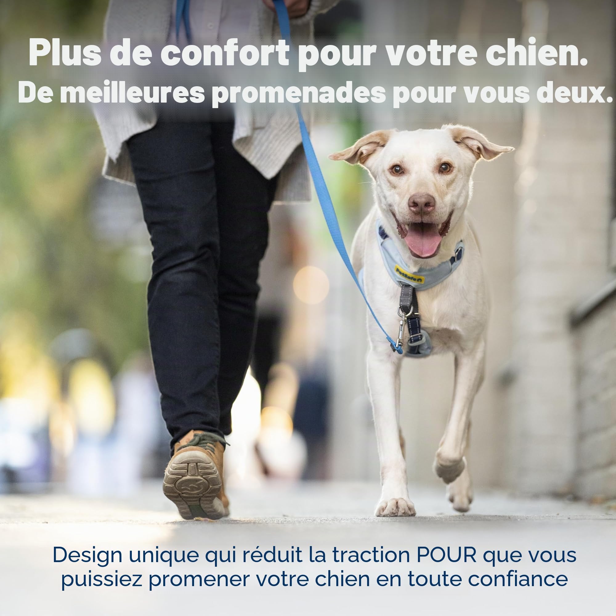 PetSafe Easy Walk Harnais Confortable Anti-Traction pour Chien Rembourrage intégral – Meilleure Marche Lors de la première Utilisation – 5 Points de réglage M/L – Vert
