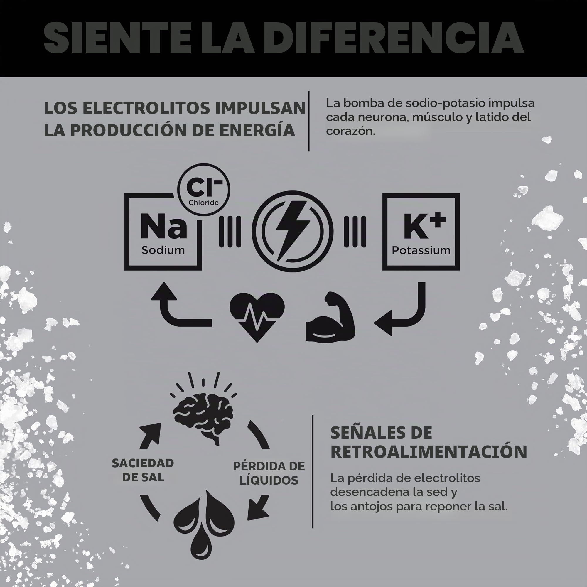LMNT Zero Sugar Electrolytes - Paquete variado | Mezcla de bebidas | 12 unidades