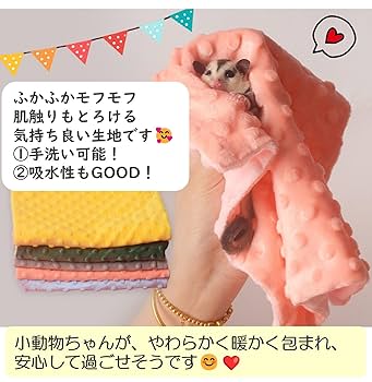 フクモモポーチ　クリスマス⑥ 619Mk18nINL._AC_UL210_SR210,