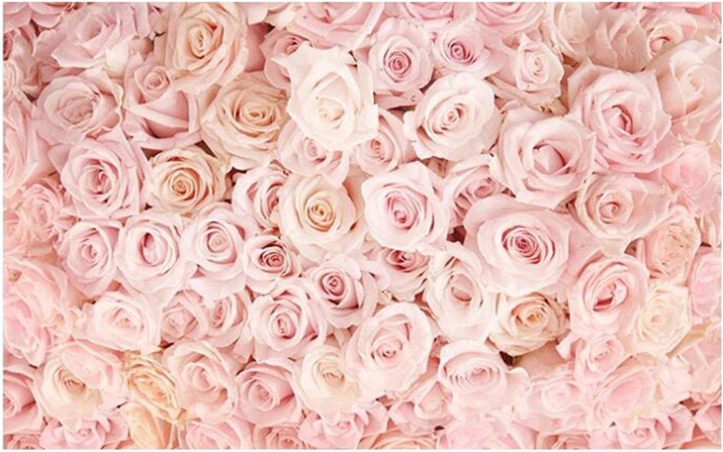 Papier peint panoramique roses roses effet 3D relief intissé trompe l'oeil grand format