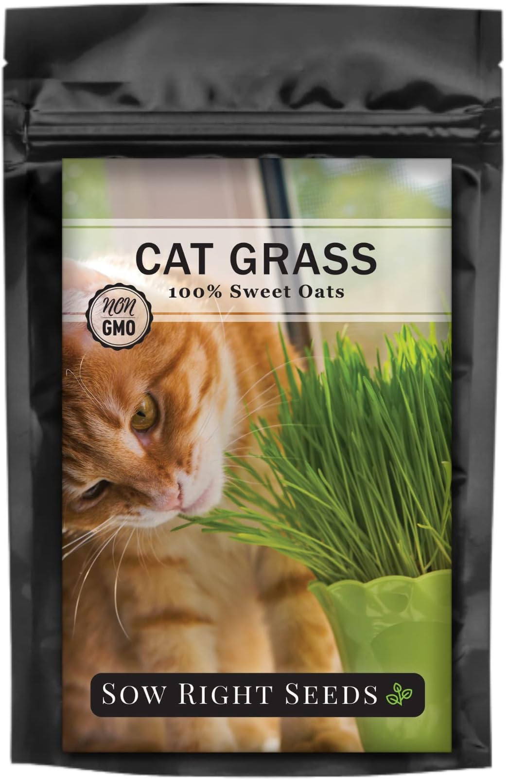 SmartyKat Sweet Greens Cat Grass Seed Grow Kit 1 Ounce