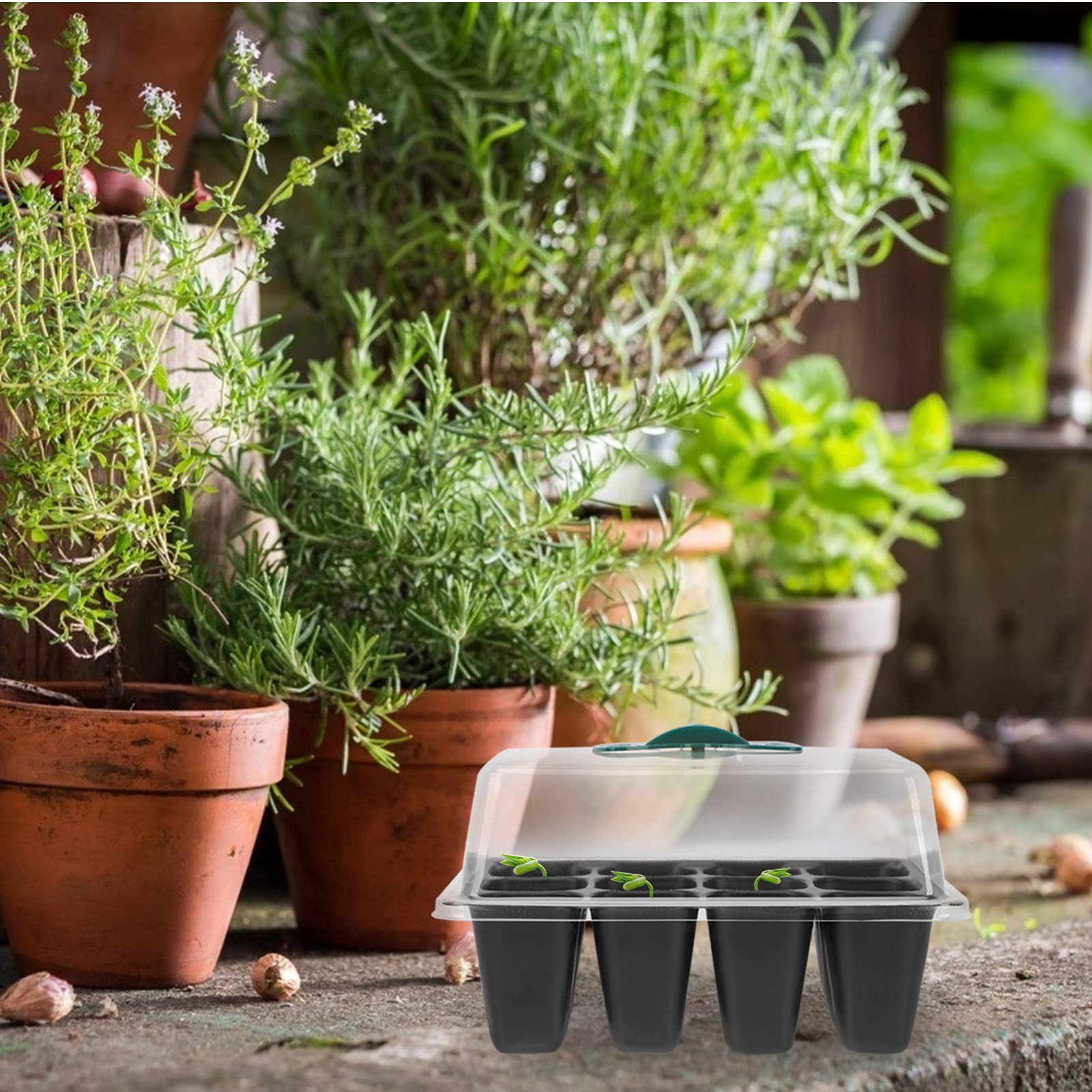 BESTonZON 2 Set Vassoio per Piantine con Contenitore per Germinazione con per Microgreens E Insalate 3 Pezzi*2