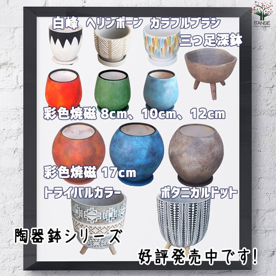 時代物色鮮やかな陶器の鉢 Amazon.co.jp: ITANSE 皿付陶器鉢 彩色焼磁 レッド 12cm 2個