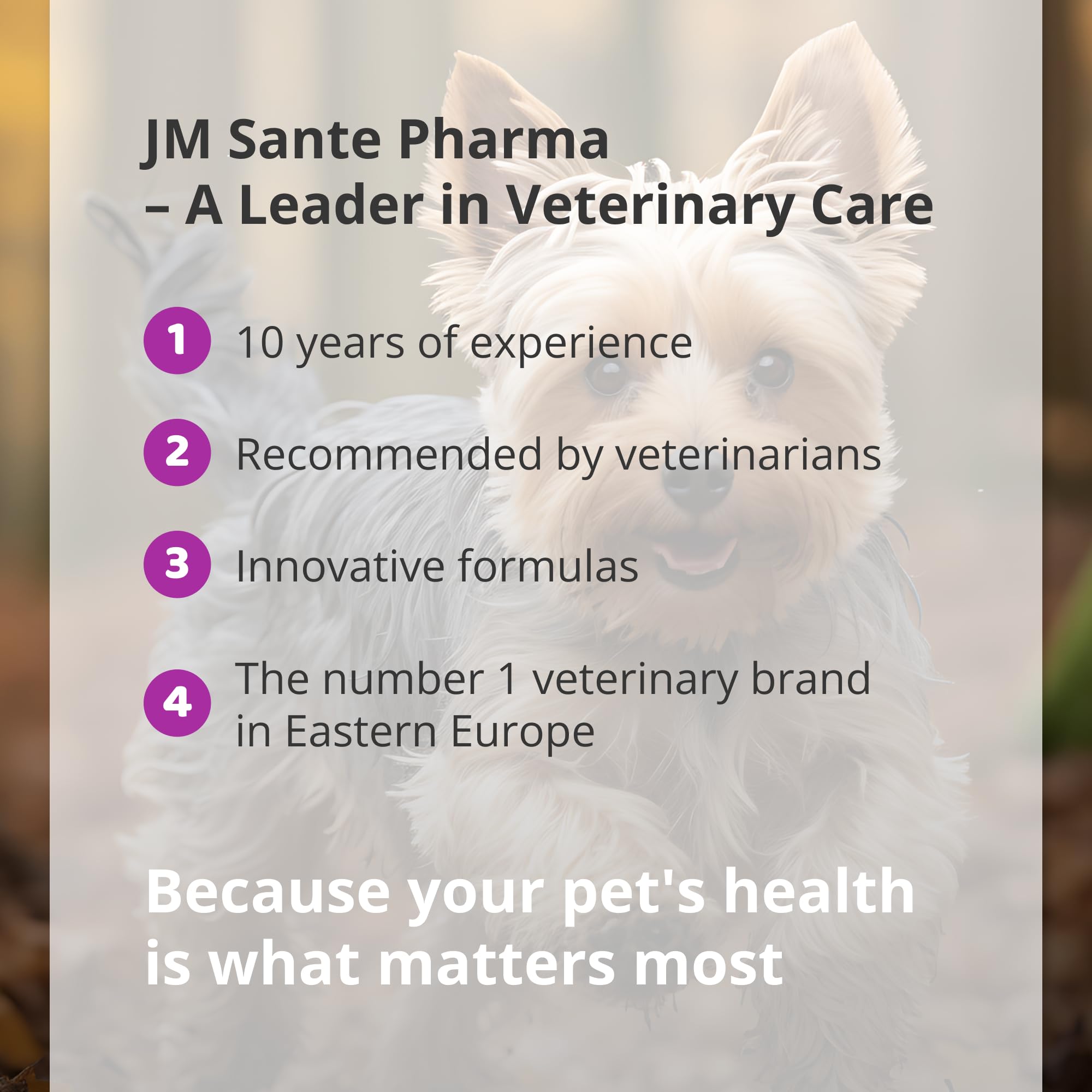 Multiway Vet - Comprimidos articulares profesionales para perros Osteo - Glucosamina y colágeno - Protección articular y hueso para perros - Tabletas articulares Perro - 60 articulaciones comprimidos