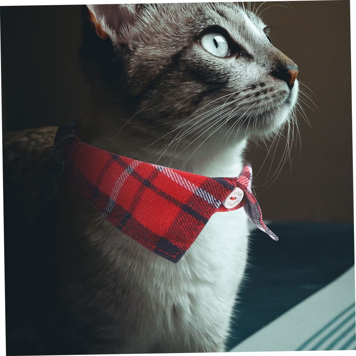 Happyyami 10pezzi Collare Per Gatti Regolabile Con Campanellino e Stile Plaid Collare Sicuro e Carino Per Feste e Occasioni Speciali Design Adatto Gatti e Cuccioli