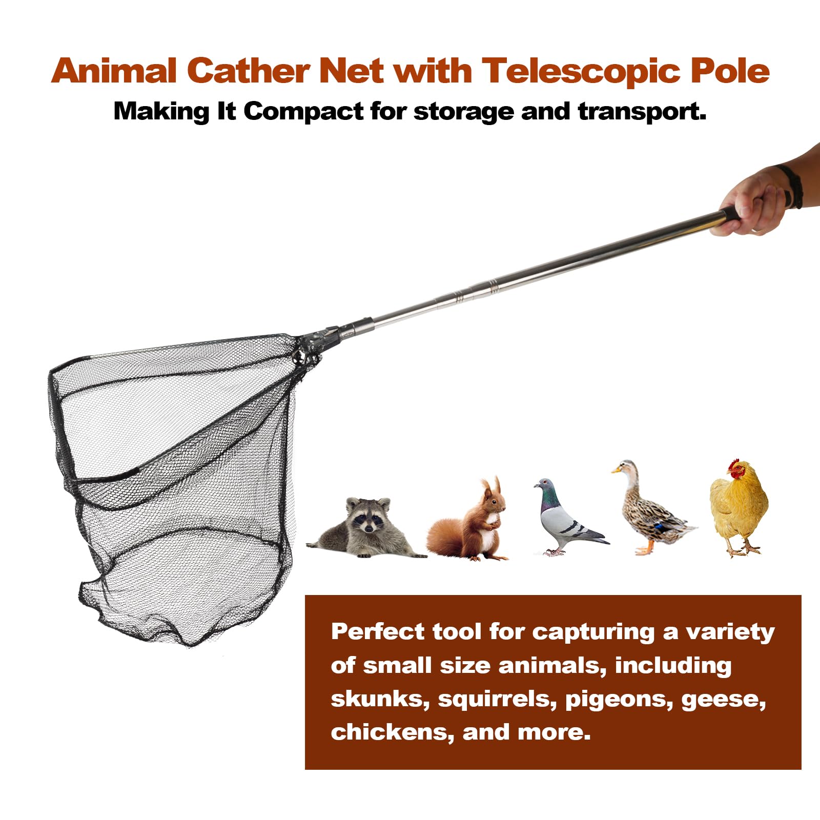 Filet de capture de poulet, filet animal avec poteau extensible en acier inoxydable de 117 cm, filet à poulet pour poulets, canards, oiseaux, chats, chiens, résille, attrape-poulet pour