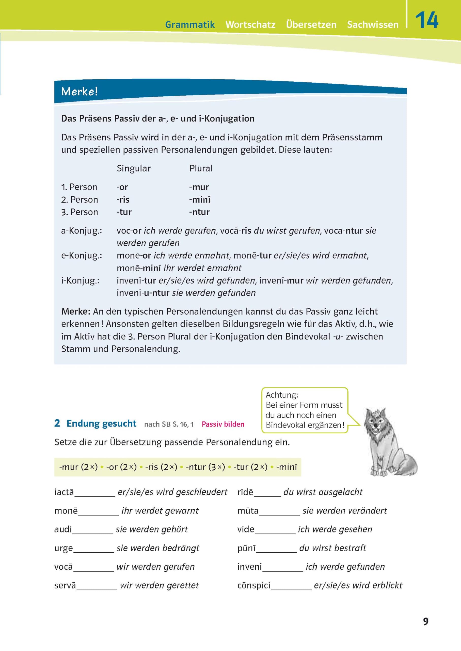 Pontes 2 - Das Trainingsbuch zum Schulbuch: 2. Lernjahr (Pontes. Ausgabe ab 2014)