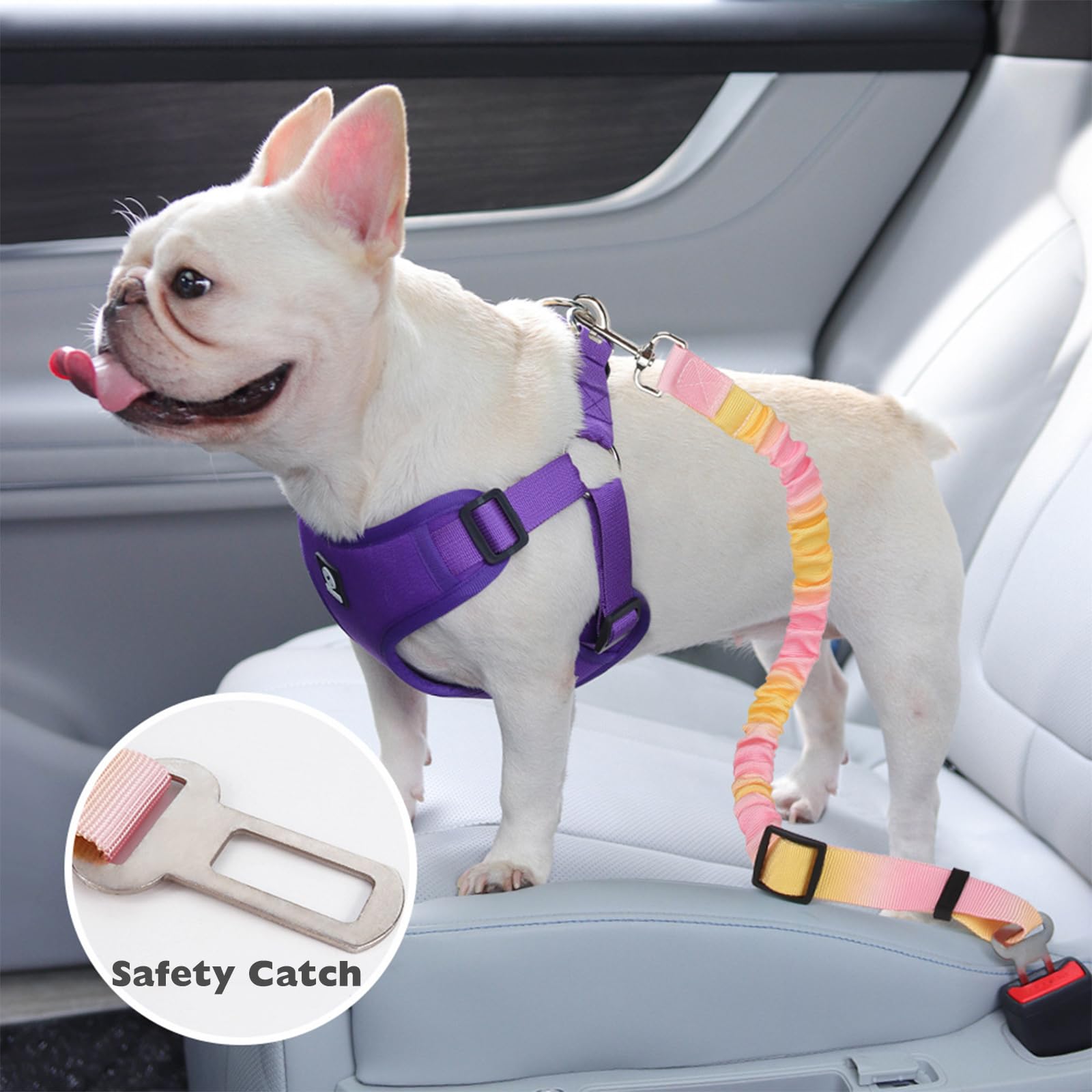 2 Pièces Ceinture Chien Voiture, Réglable Ceinture Securite Chien Voiture, Élastique Attache Chiens Voitures, Couleur Dégradée Laisse Voitures pour Chiens