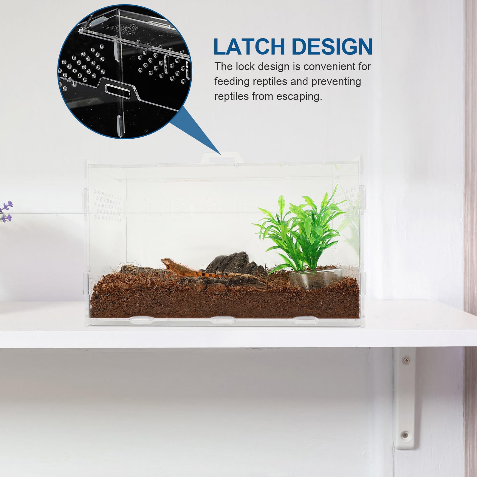 Terrario Acrilico Trasparente per Rettili e Aracnidi Ventilazione, Vasca da 25x15x15 Cm per Lucertole, Ragni, Scorpioni e Piccoli Animali Esotici