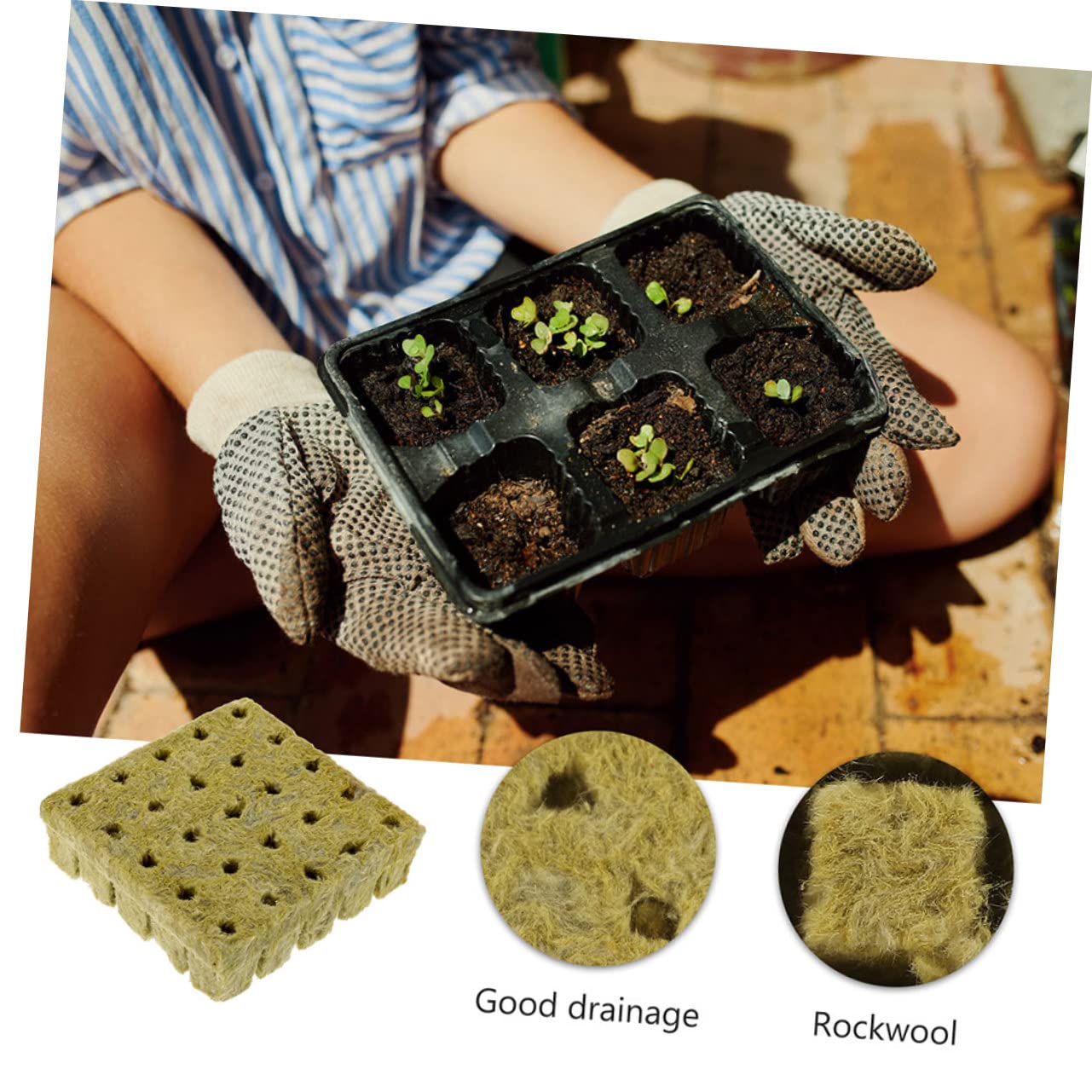 TOYANDONA Cubo De Crecimiento Hidropónico Bloques De para Esquejes Y Plántulas De Jardinería para Propagación De Plantas Y Sin Suelo 50 Piezas*4