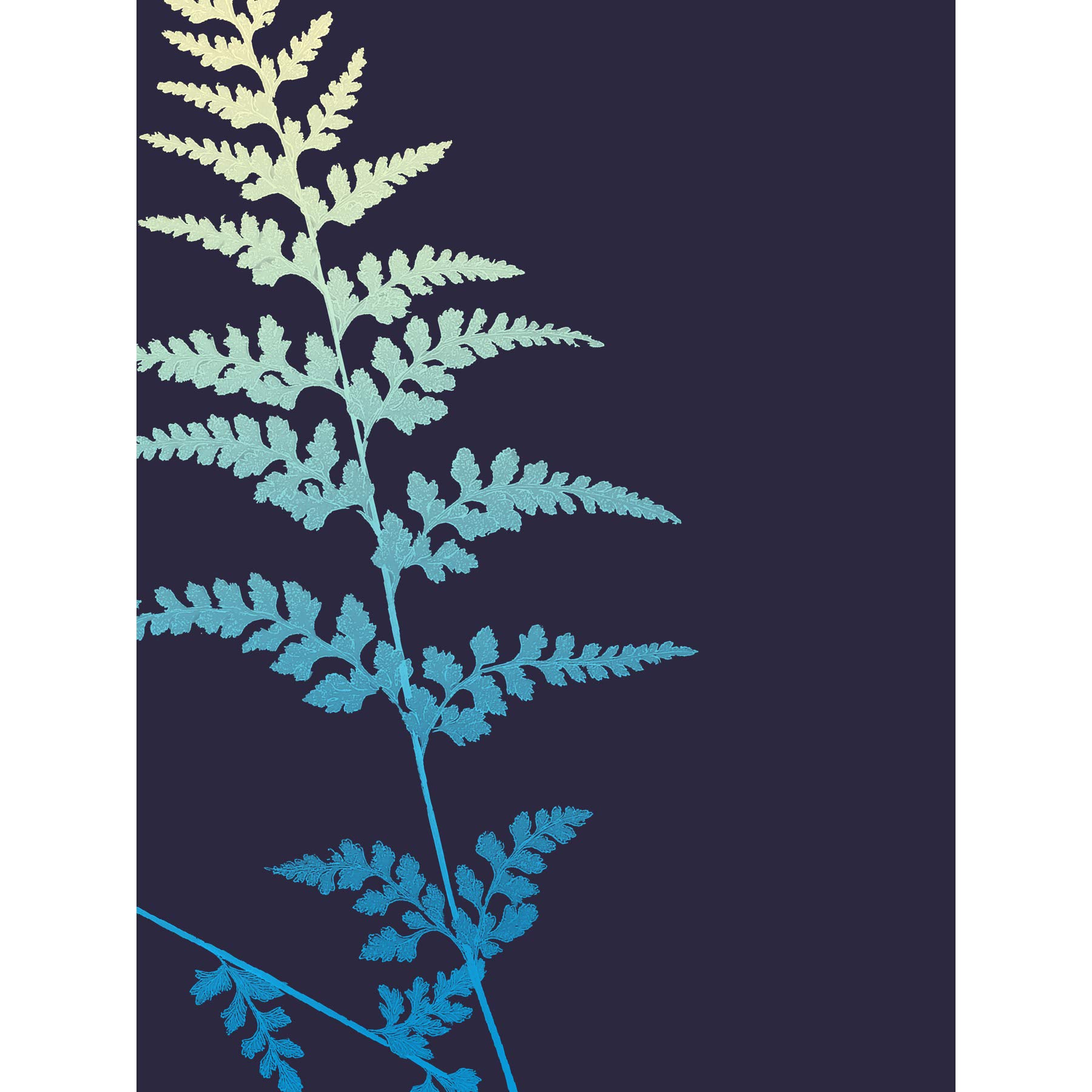 Wee Blue Coo Bright Fern Illustration Large Wall Art Print Canvas Premium Poster
