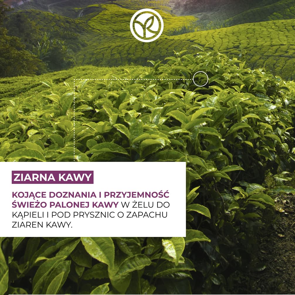 Yves Rocher Bain de Nature Ziarna Kawy – Energetyzujący i wyrafinowany żel pod prysznic i do kąpieli, aromatyczna pianka z ekstraktem, wegańska formuła, butelka z recyklingu, duża pojemność, 400 ml