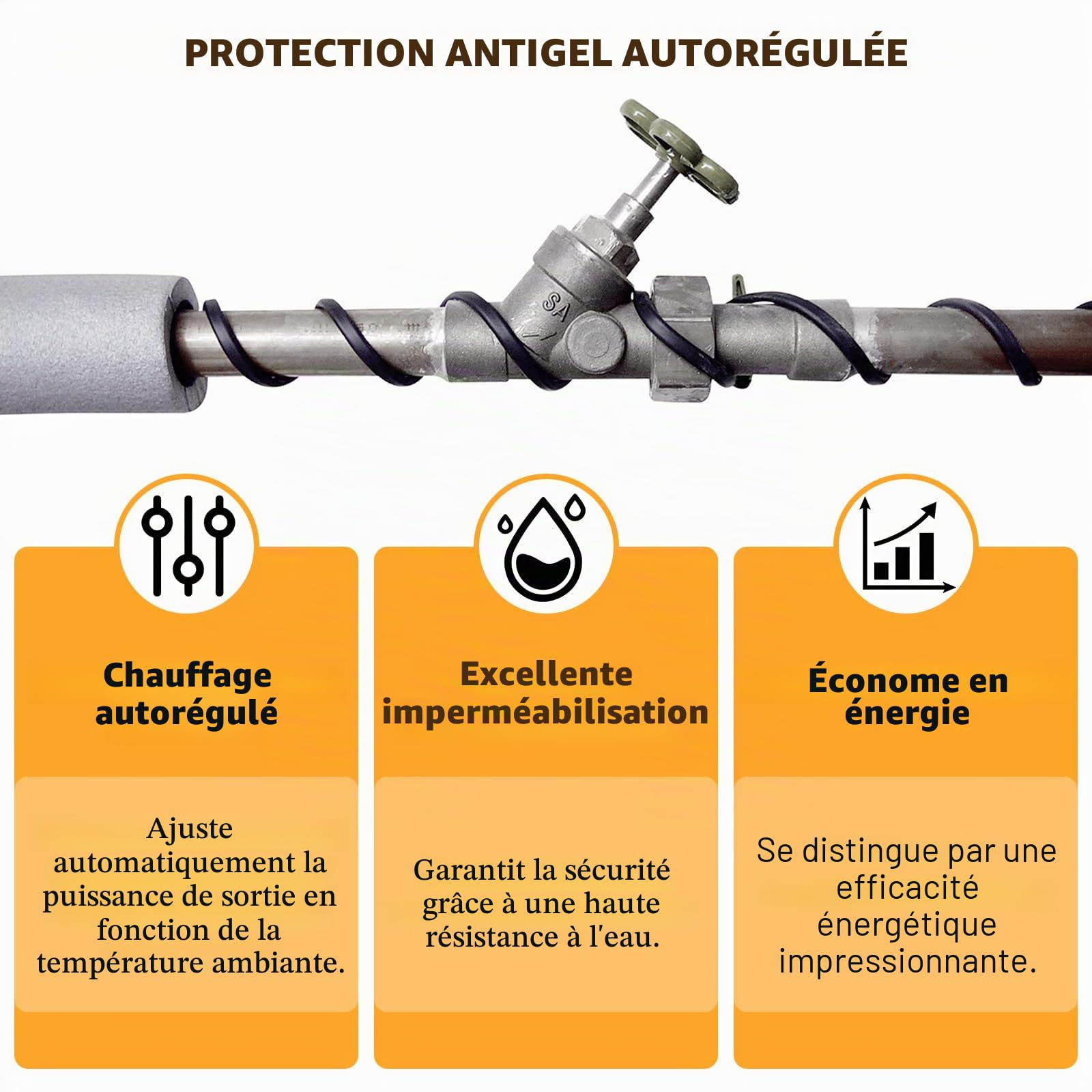 Câble Chauffant Antigel Auto-Régulant 25W/M 12M avec Thermostat pour Canalisations