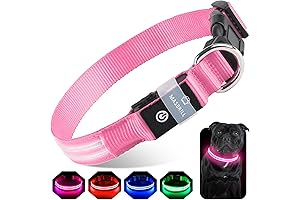 Rechargeable LED Light Up Dog Collars