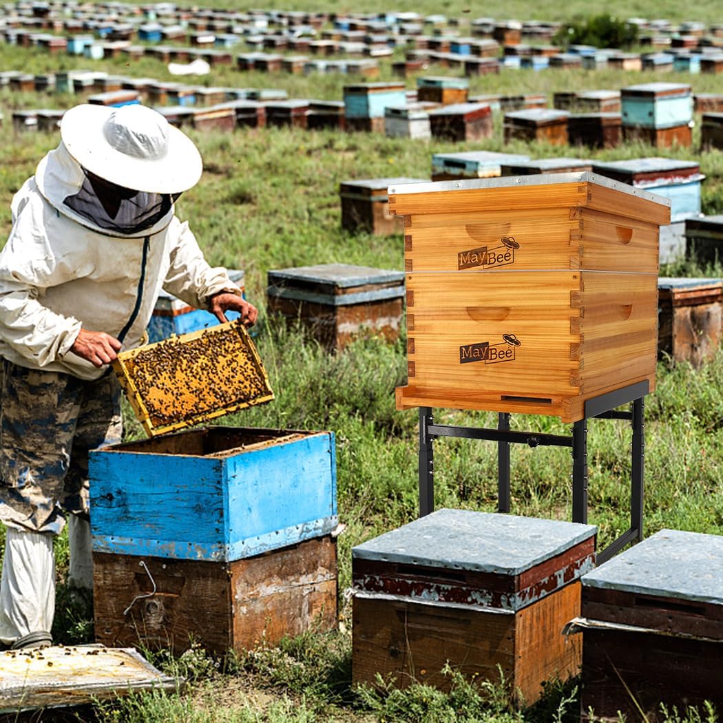 MayBee 2 Pack Adjustable Metal Bee Hive Stand, Adjustable Height(16.1”-20.9”) Hive Stand, Adjustable Width(15”-19”) Bee Hive Frame Stands Hive Stand Frame - Image 5