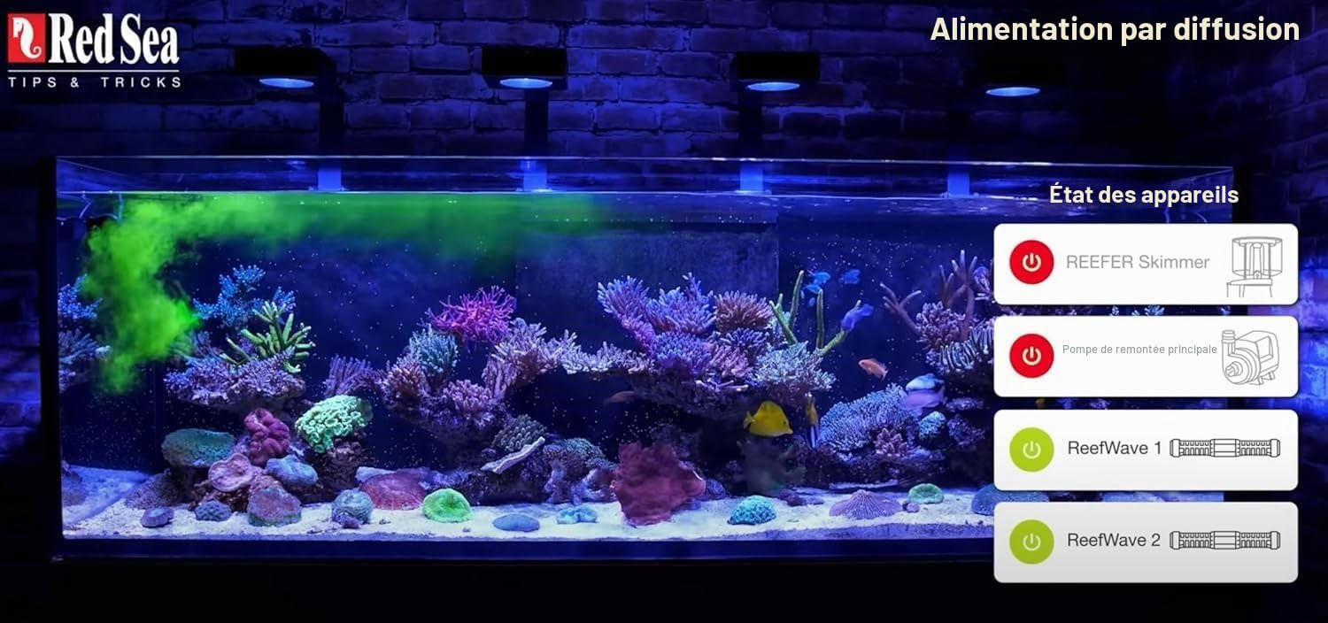 Red Sea Reef Energy Plus AB+ 250 ml : Complément pour coraux en aquarium, 250 ml, 0,371 kg
